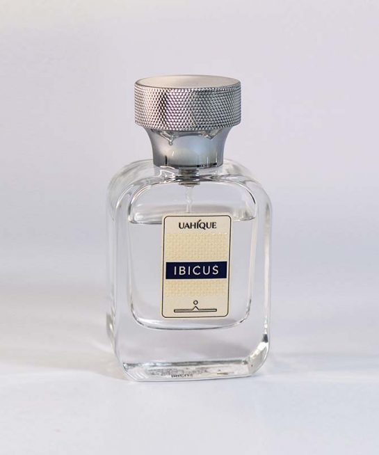 IBICUS